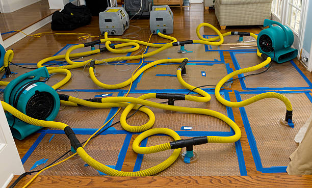Professional Crawl Space Water Removal technician working in Nada, TX
